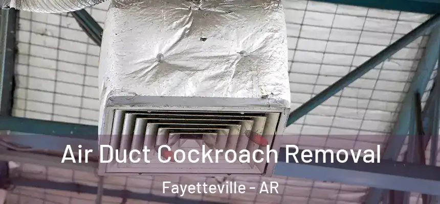 Air Duct Cockroach Removal Fayetteville - AR