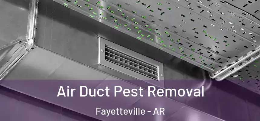 Air Duct Pest Removal Fayetteville - AR