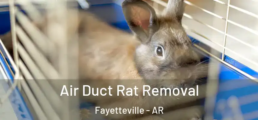 Air Duct Rat Removal Fayetteville - AR