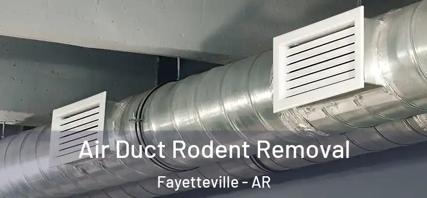 Air Duct Rodent Removal Fayetteville - AR