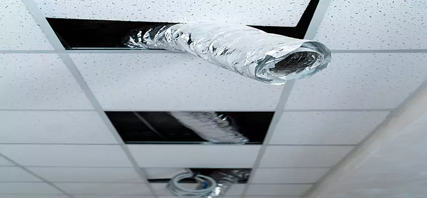 Affordable HVAC Sanitizing After Pest Removal in Fayetteville