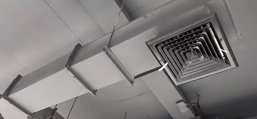 Our Pest Removal From Ducts Services in Fayetteville, AR