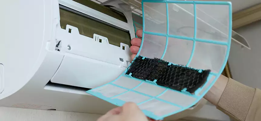 Gentle Ductwork Odor-Control Pet Dander Duct Cleaning in Fayetteville, AR