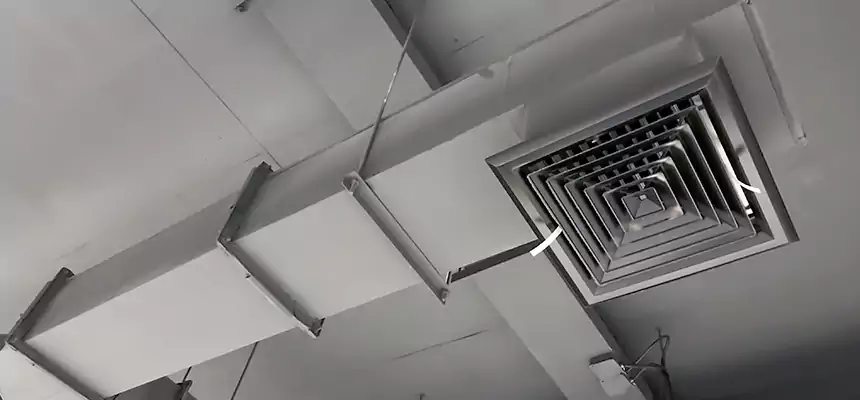 Our Rodent Droppings In Vents Services in Fayetteville, AR