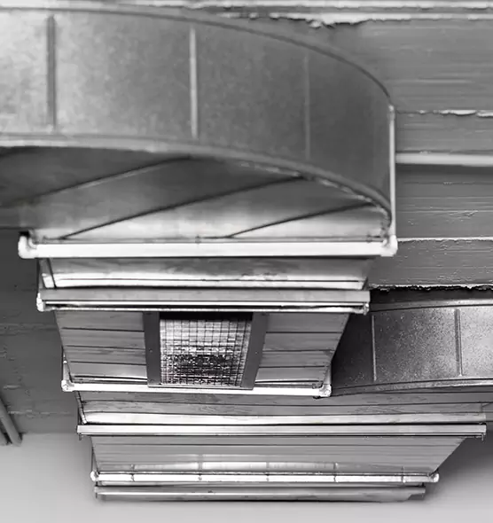 Professional Air Duct Pet Hair Removal in Fayetteville, AR