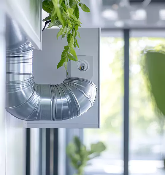 Professional Eco-Safe Dryer Vent Cleaning in Fayetteville, AR