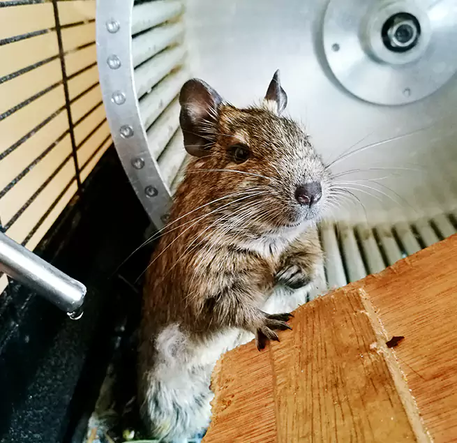 Why Homeowners & Businesses Trust Us Fayetteville, AR