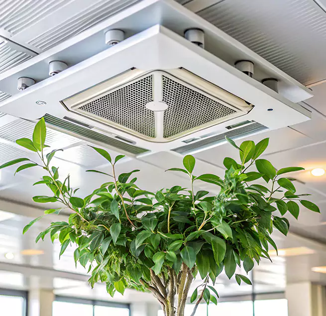 Why Homeowners & Businesses Trust Us in Fayetteville, AR?